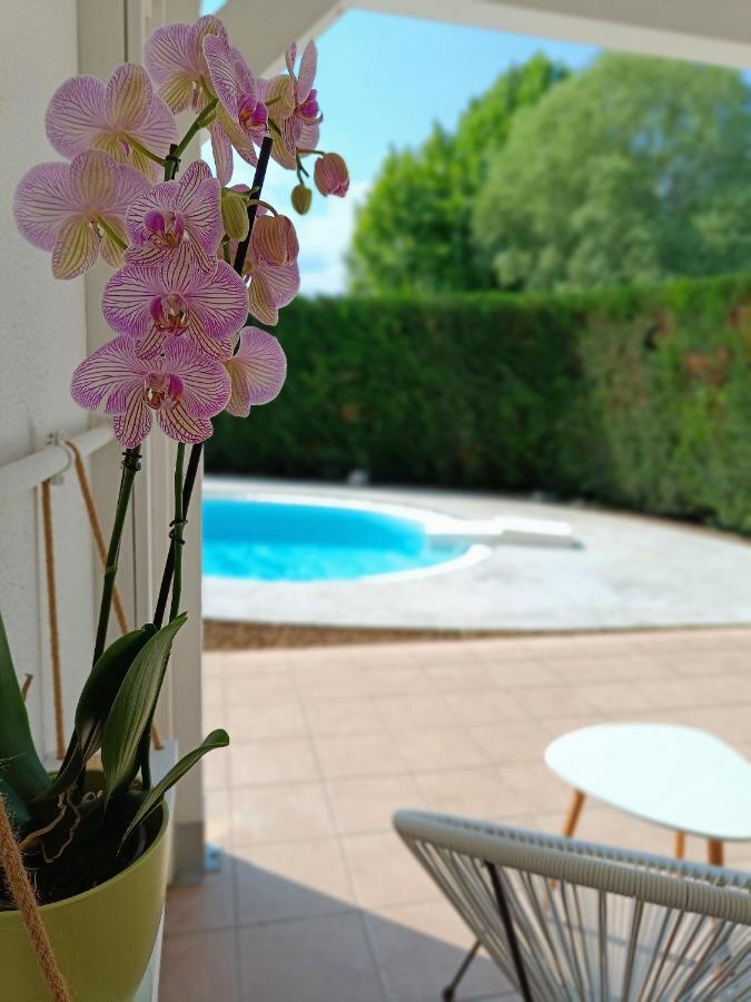 Picnic Room And Pool Castelnuovo del Garda Exterior foto