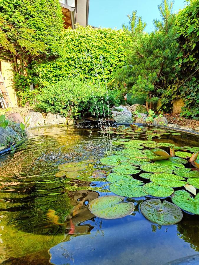 Picnic Room And Pool Castelnuovo del Garda Exterior foto