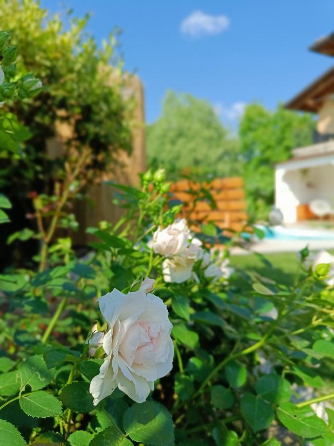 Picnic Room And Pool Castelnuovo del Garda Exterior foto
